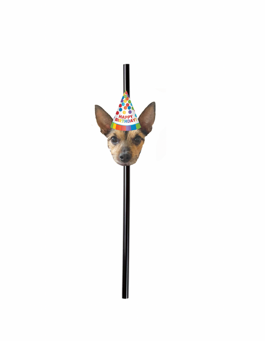 Personalized Rainbow Party Hat Face Straws