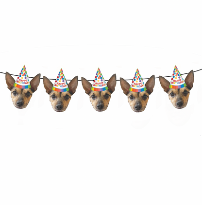 Personalized Happy Birthday Party Hat Face Banner