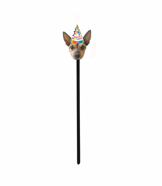 Personalized Rainbow Birthday Hat Face Swizzle Stir Sticks