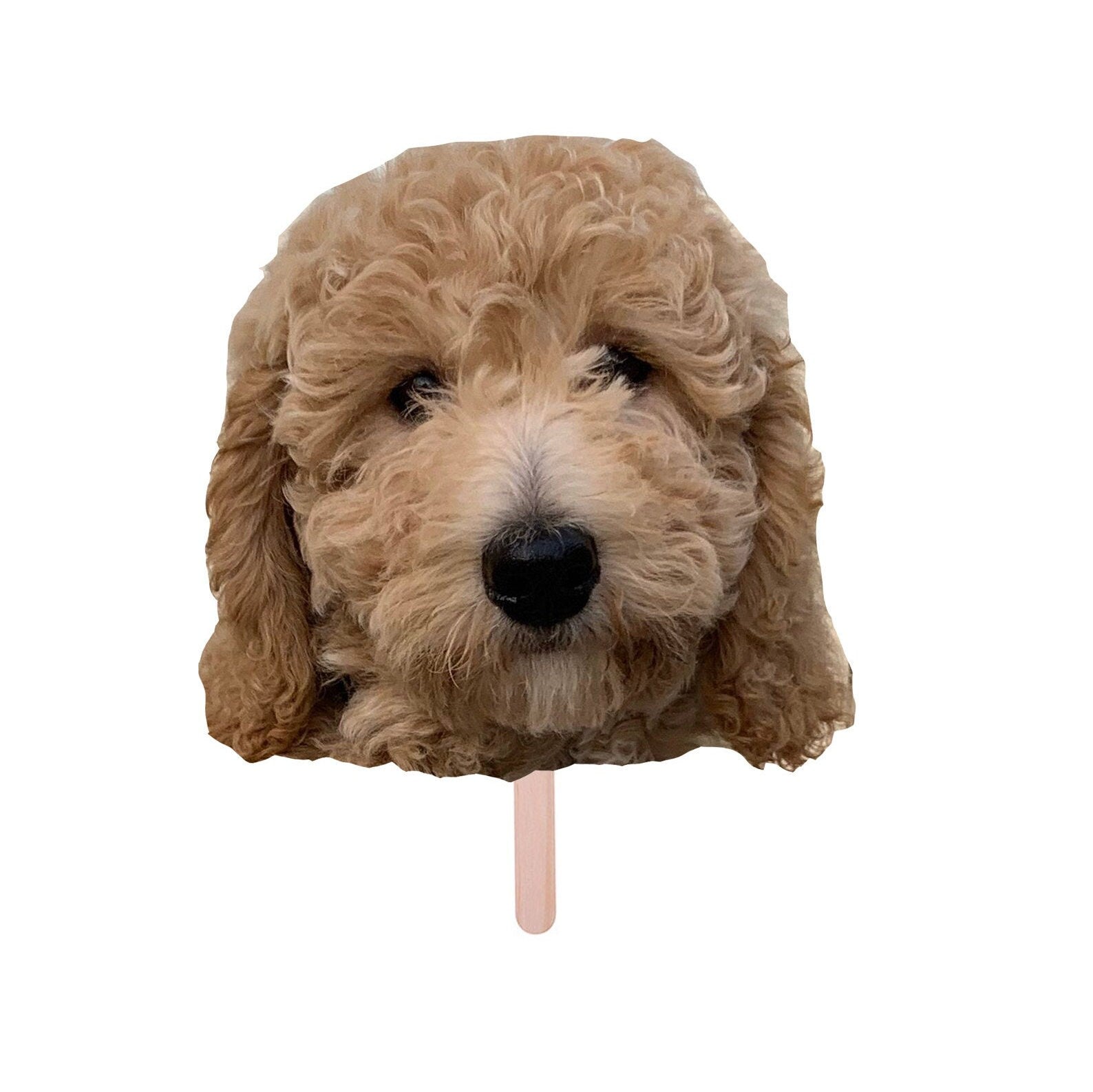 Dog Face Stick, Dog Face On a Stick Prop, Custom Photo Dog Face Stick, Big Head on a Stick, Fat Head